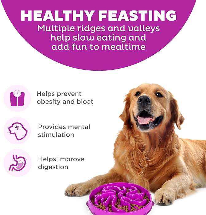 Outward Hound Large Slow Feeder Bowl, Puzzle Maze for Fast Eaters, Medium to Large Dogs, Helps Prevent Bloat & Aid Digestion, Holds 4 Cups Wet or Dry Food, Non-Slip, Made Without BPA, Purple - Image 2