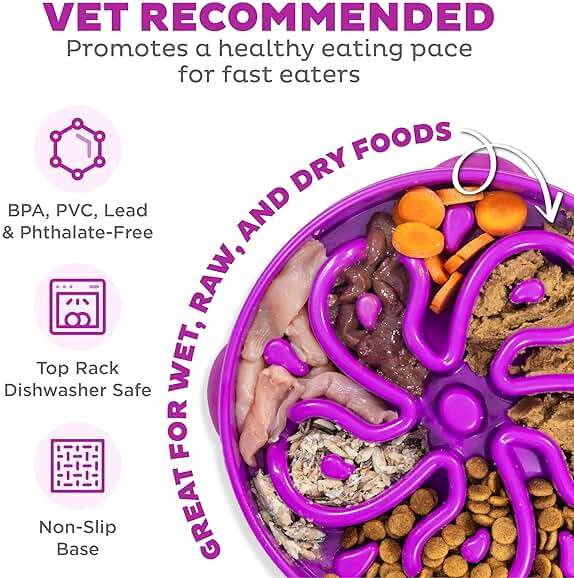 Outward Hound Large Slow Feeder Bowl, Puzzle Maze for Fast Eaters, Medium to Large Dogs, Helps Prevent Bloat & Aid Digestion, Holds 4 Cups Wet or Dry Food, Non-Slip, Made Without BPA, Purple - Image 3