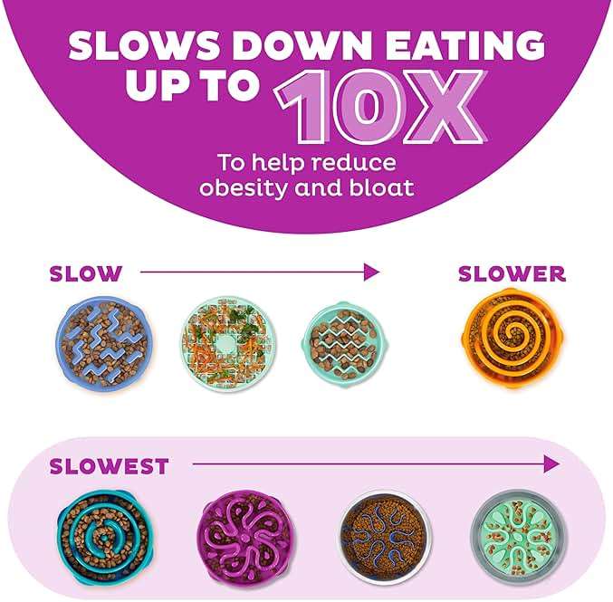 Outward Hound Large Slow Feeder Bowl, Puzzle Maze for Fast Eaters, Medium to Large Dogs, Helps Prevent Bloat & Aid Digestion, Holds 4 Cups Wet or Dry Food, Non-Slip, Made Without BPA, Purple - Image 4