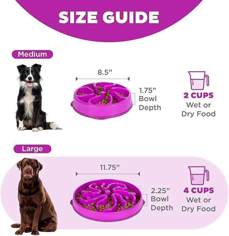 Outward Hound Large Slow Feeder Bowl, Puzzle Maze for Fast Eaters, Medium to Large Dogs, Helps Prevent Bloat & Aid Digestion, Holds 4 Cups Wet or Dry Food, Non-Slip, Made Without BPA, Purple - Image 5