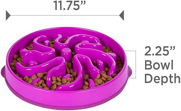 Outward Hound Large Slow Feeder Bowl, Puzzle Maze for Fast Eaters, Medium to Large Dogs, Helps Prevent Bloat & Aid Digestion, Holds 4 Cups Wet or Dry Food, Non-Slip, Made Without BPA, Purple - Image 7