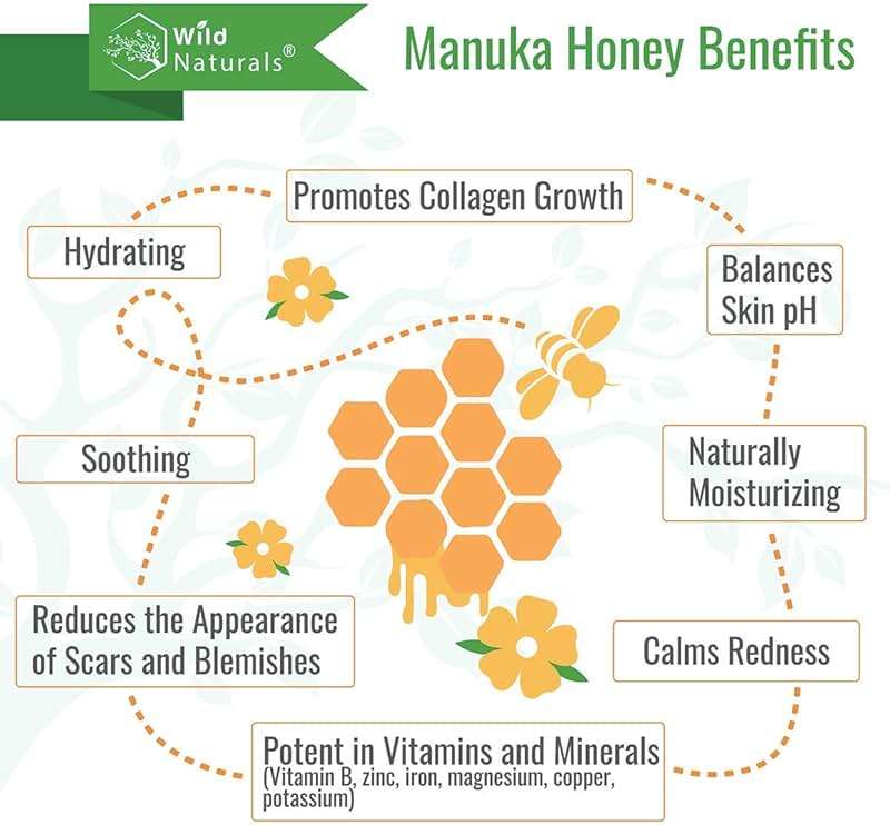 Natural Hydrating Conditioner for Dry & Itchy Scalp - Sulfate Free Dandruff Moisturizing Conditioner with Aloe Vera & Manuka Honey - for Oily Hair & Curly hair - Help Hair Growth with Coconut Oil - Image 3