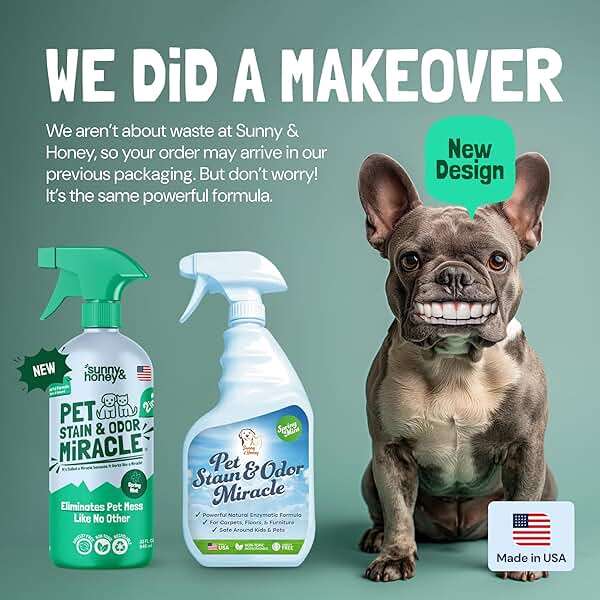 Sunny & Honey Pet Stain and Odor Remover - Enzyme Cleaner for Dog Urine and Poop on Carpets and Furniture - Strong Pet Carpet Cleaner Spray (32fl oz Mint) - Image 3