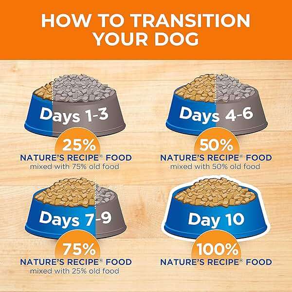 Nature's Recipe Grain Free Dry Dog Food, Salmon, Sweet Potato & Pumpkin Recipe, 12 lb. Bag - Image 11