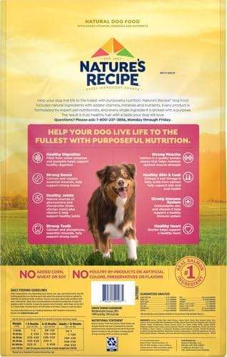 Nature's Recipe Grain Free Dry Dog Food, Salmon, Sweet Potato & Pumpkin Recipe, 12 lb. Bag - Image 3