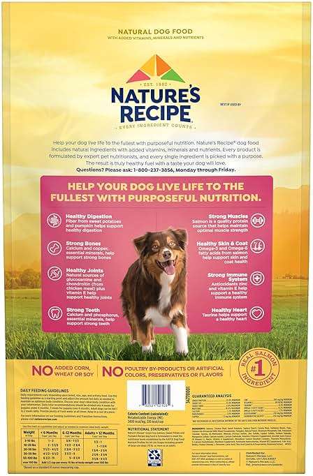 Nature's Recipe Grain Free Dry Dog Food, Salmon, Sweet Potato & Pumpkin Recipe, 12 lb. Bag - Image 5