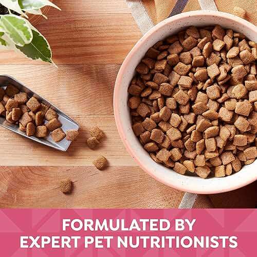 Nature's Recipe Grain Free Dry Dog Food, Salmon, Sweet Potato & Pumpkin Recipe, 12 lb. Bag - Image 6