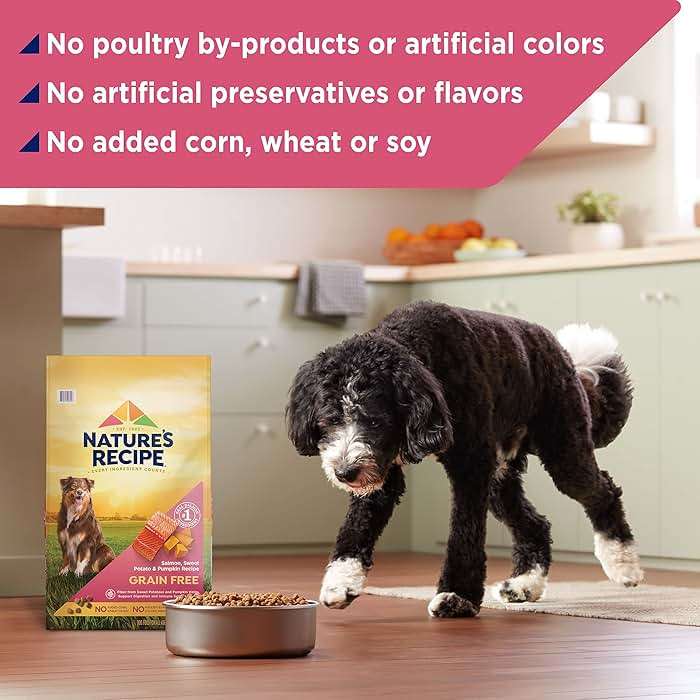 Nature's Recipe Grain Free Dry Dog Food, Salmon, Sweet Potato & Pumpkin Recipe, 12 lb. Bag - Image 7