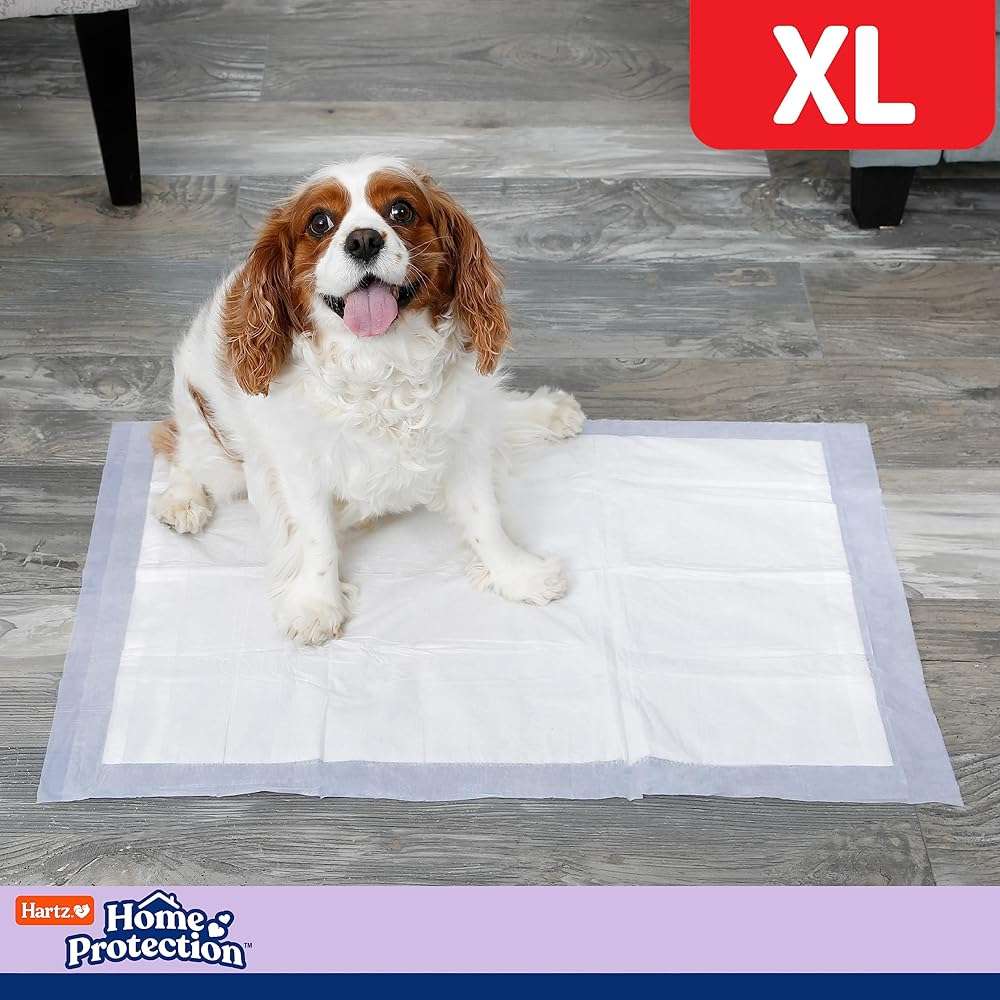Hartz Home Protection Super Absorbent Odor Eliminating Lavender Scented No Leak Dog Pads,XL 30 count - Image 7