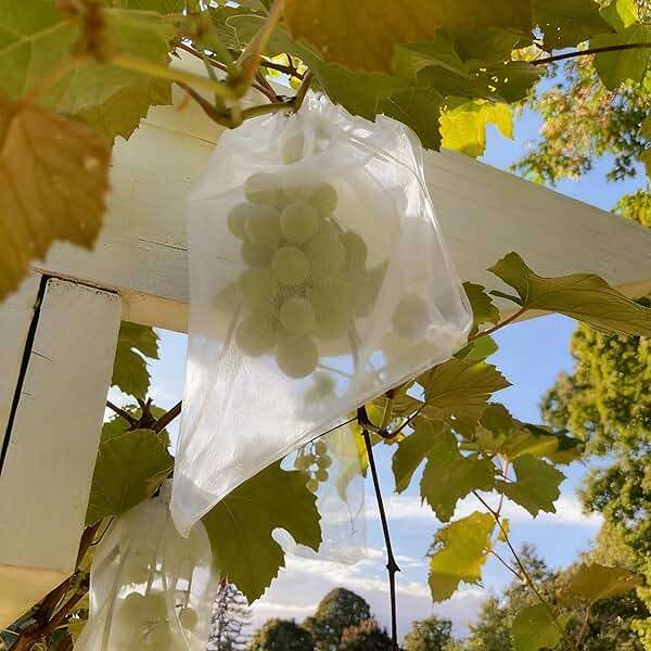 YunKo 50pcs Organza Bags 6x9 Inches Drawstring Gift Jewelry Mesh Bags Fruit Protection Bag White Sheer Organza Wedding Party Favor Bag - Image 9