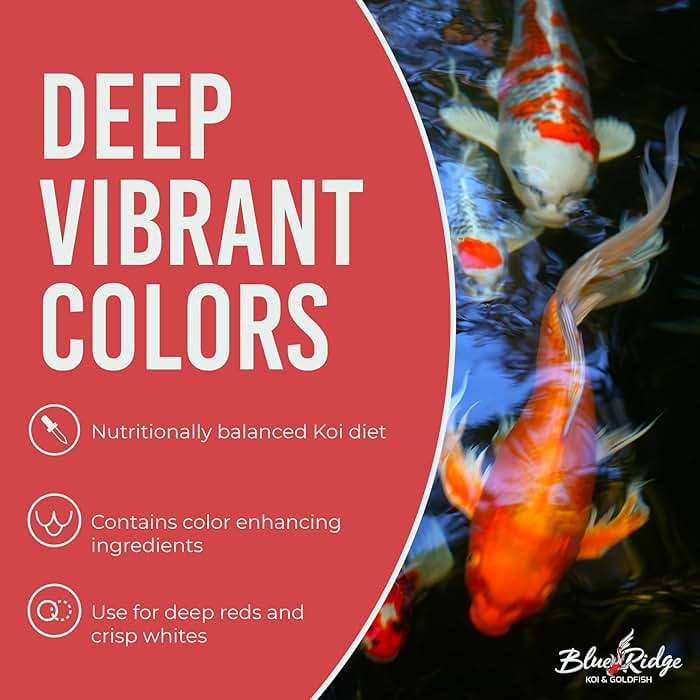 Blue Ridge Koi Fish Food 4.5lb - Koi Food 3/16” Platinum Pro Formula Goldfish Food, Premium Fish Food for Ponds, Ponds Fish Food, Floating Pond Pellet - Image 5