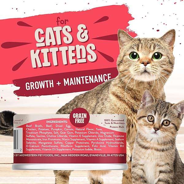 Earthborn Holistic RanchHouse Stew Grain-Free Moist Cat Food 5.5 oz Can - Image 2