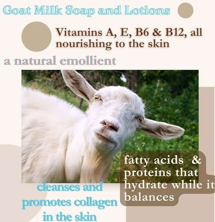 Handmade Goat Milk Soap 2 bars- BOGUE No.13 BESPOKE Greasemonkey Blend has serious scrubbing power. Essential oils of Orange & Vetiver remove grease, help protect & heal working hands. - Image 2