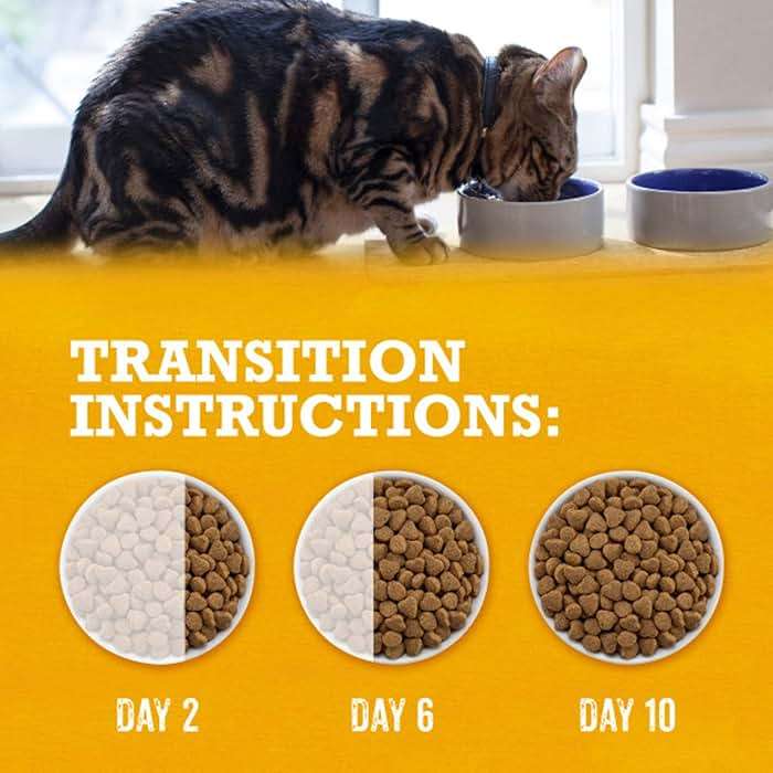 Purina Beyond Grain Free White Meat Chicken and Egg Recipe Natural Cat Food High Protein Cat Food Dry Formula - 5 lb. Bag - Image 12