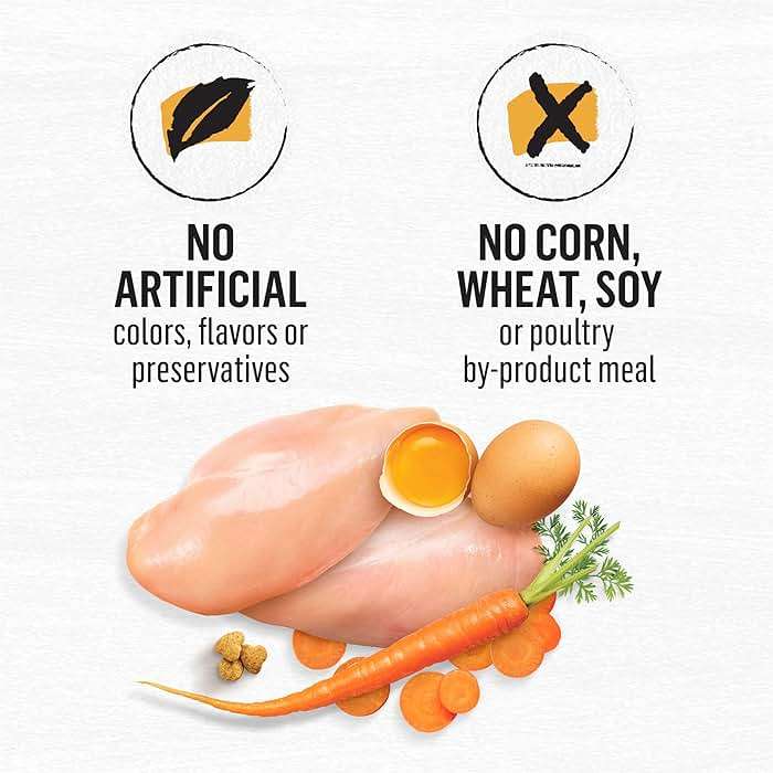 Purina Beyond Grain Free White Meat Chicken and Egg Recipe Natural Cat Food High Protein Cat Food Dry Formula - 5 lb. Bag - Image 9