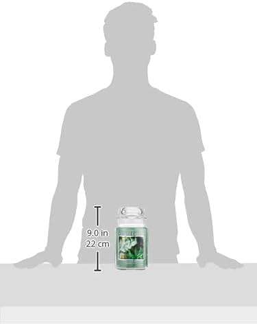 Village Candle Eucalyptus Mint Large Glass Apothecary Jar Scented Candle, 21.25 oz, Green - Image 3
