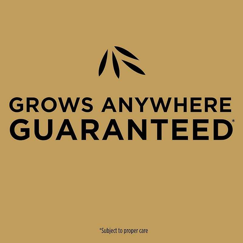 Scotts EZ Seed Patch & Repair for Sun and Shade - Combination Mulch, Sun and Shade Grass Seed & Fertilizer for Bare Spots & Lawn Patch Repair, Covers up to 85 sq. ft., 3.75 lb. - Image 7