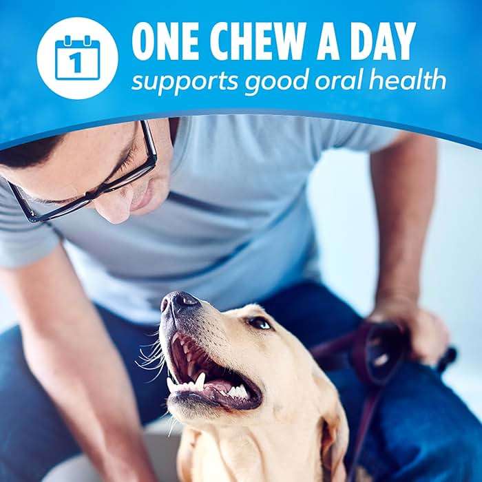 DentaLife Daily Oral Care Dog Treats for Small and Medium Dogs, Chewy Dental Treat to Freshen Breath and Fight Tartar, Chicken Flavor - 40 ct. Pouch - Image 7