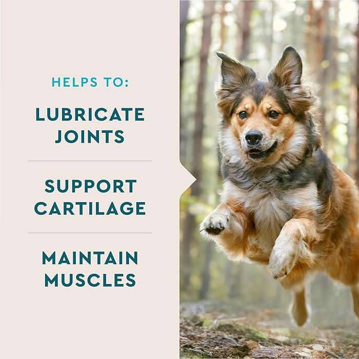 VetIQ Glucosamine Hip & Joint Supplement for Dogs, 180 Soft Chews, Joint Support Supplement with MSM and Krill, Dog Health Supplies Large & Small Breed, Chicken Flavored Chewables - Image 3