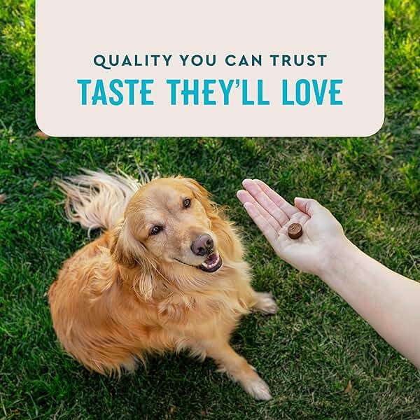 VetIQ Glucosamine Hip & Joint Supplement for Dogs, 180 Soft Chews, Joint Support Supplement with MSM and Krill, Dog Health Supplies Large & Small Breed, Chicken Flavored Chewables - Image 6