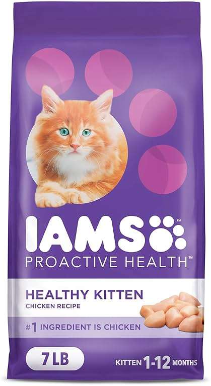 IAMS Proactive Health Kitten Dry Cat Food, Healthy Kitten Food Dry Recipe with Real Chicken in Every Bite, 7 lb. Bag - Image 2