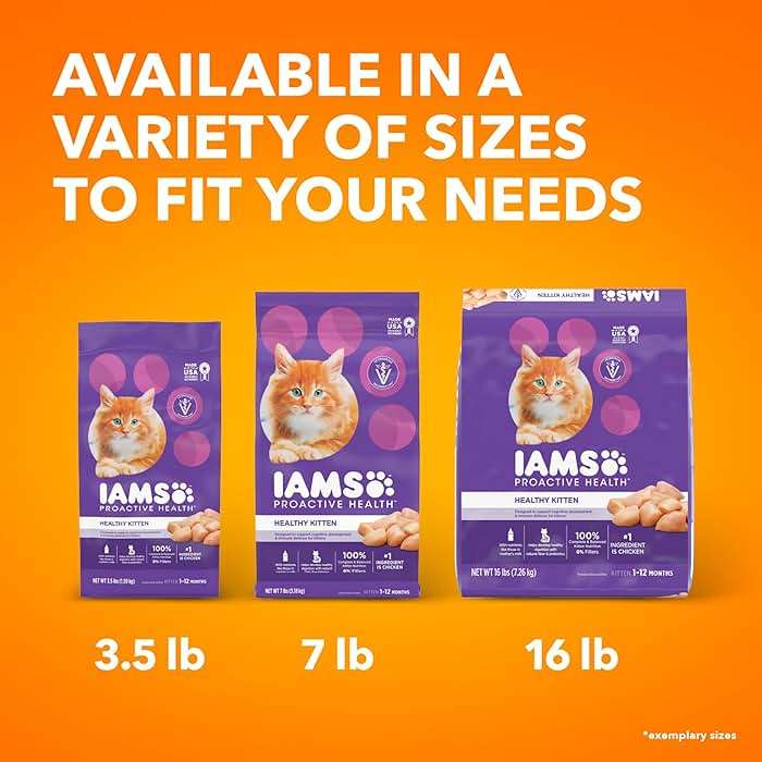 IAMS Proactive Health Kitten Dry Cat Food, Healthy Kitten Food Dry Recipe with Real Chicken in Every Bite, 7 lb. Bag - Image 12