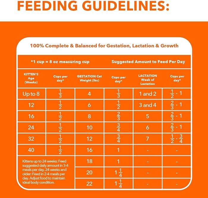 IAMS Proactive Health Kitten Dry Cat Food, Healthy Kitten Food Dry Recipe with Real Chicken in Every Bite, 7 lb. Bag - Image 7