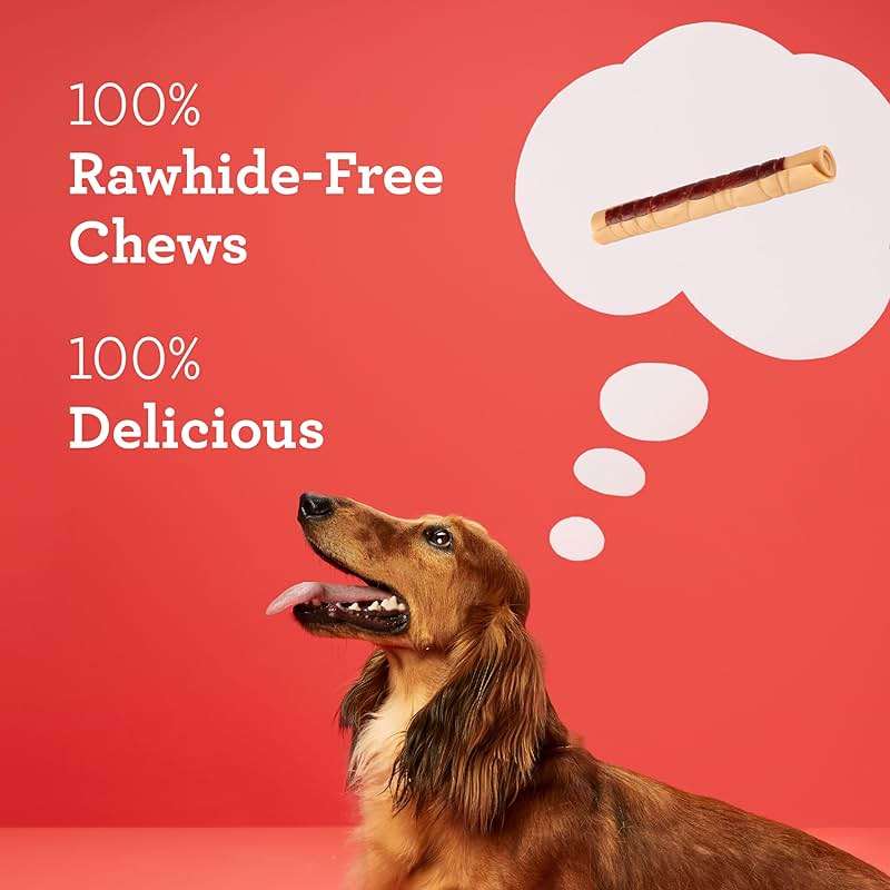 DreamBone Chicken Wrapped Mini Stick Dog Treats, Daily Rawhide-Free Chew, Digests Safely and Completely, With Real Protein, Chicken and Veggies, 15 count - Image 5