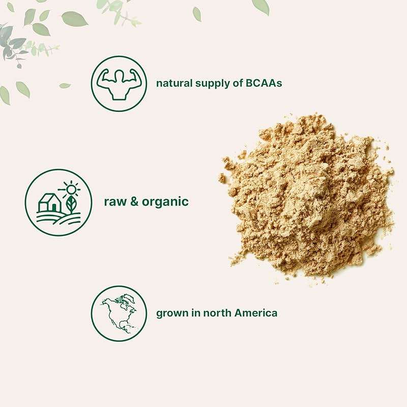 North America Grown, Organic Pea Protein Powder, 1KG (2.2 Pounds) | Plant-Based Vegan Protein, Meatless Protein Supplement, Natural Branched Chain Amino Acids | Non-GMO, Soy Free - Image 4