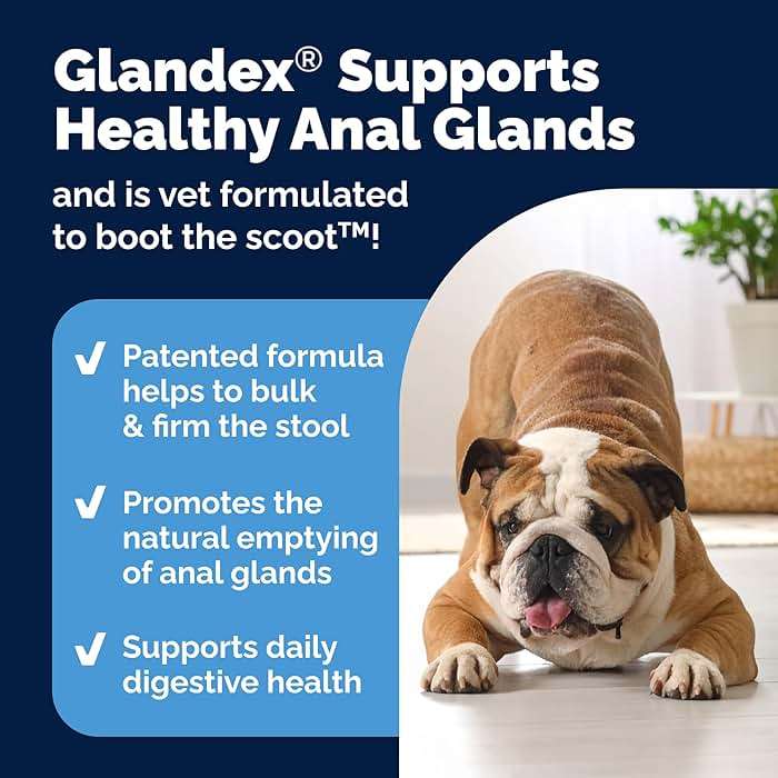 Vetnique Glandex Anal Gland Soft Chew Treats with Pumpkin for Dogs Digestive Enzymes, Probiotics Fiber Supplement for Dogs Boot The Scoot (Peanut Butter Chews, 120 Count) - Image 4