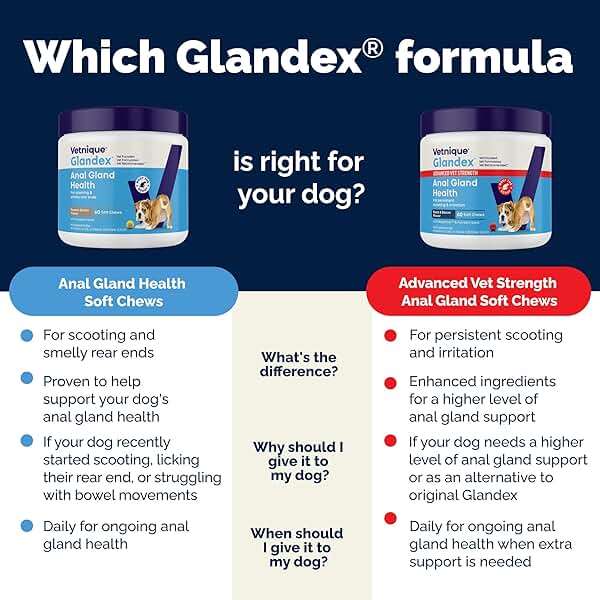 Vetnique Glandex Anal Gland Soft Chew Treats with Pumpkin for Dogs Digestive Enzymes, Probiotics Fiber Supplement for Dogs Boot The Scoot (Peanut Butter Chews, 120 Count) - Image 7