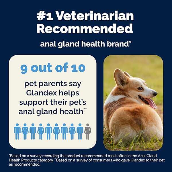 Vetnique Glandex Anal Gland Soft Chew Treats with Pumpkin for Dogs Digestive Enzymes, Probiotics Fiber Supplement for Dogs Boot The Scoot (Peanut Butter Chews, 120 Count) - Image 8