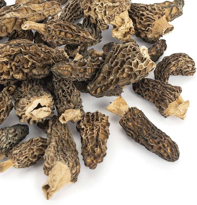 Slofoodgroup Dried Morel Mushrooms (Morchella Conica) Gourmet Morel Mushrooms (.25 lb/ 4 oz Morel Mushrooms) - Image 2