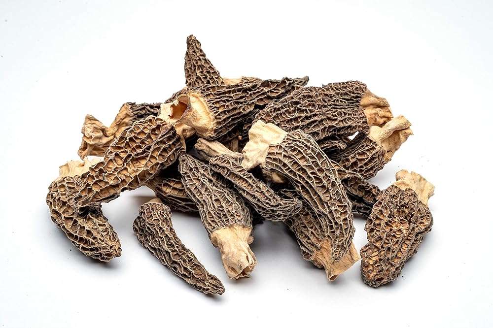 Slofoodgroup Dried Morel Mushrooms (Morchella Conica) Gourmet Morel Mushrooms (.25 lb/ 4 oz Morel Mushrooms) - Image 3