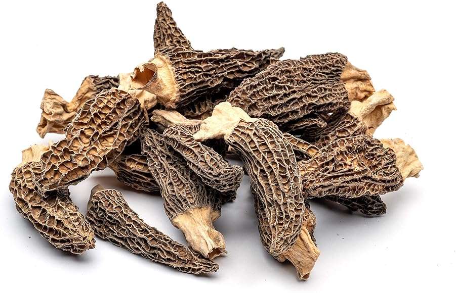 Slofoodgroup Dried Morel Mushrooms (Morchella Conica) Gourmet Morel Mushrooms (.25 lb/ 4 oz Morel Mushrooms) - Image 4