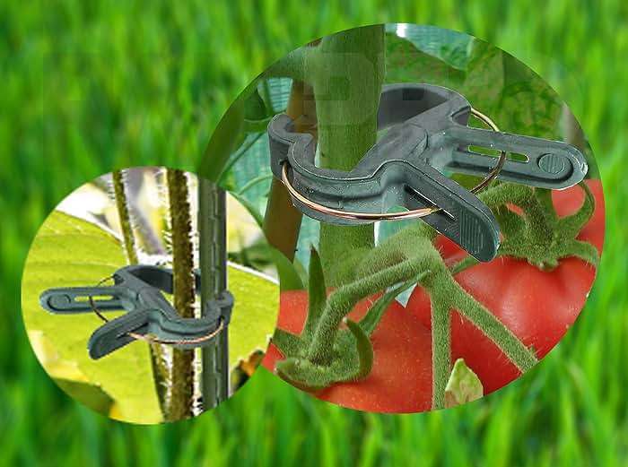 Plant Clips 40 Piece Green Gentle Gardening Plant & Flower Lever Loop Gripper Clips, Tool for Supporting or Straightening Plant Stems, Stalks, and Vines, Garden Clips, by RamPro - Image 8