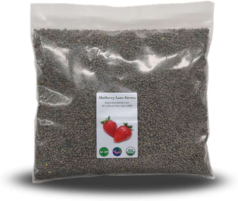 French Green Lentils 5 Pounds Petite, USDA Certified Organic, Non-GMO Bulk, Product of USA, Mulberry Lane Farms - Image 1