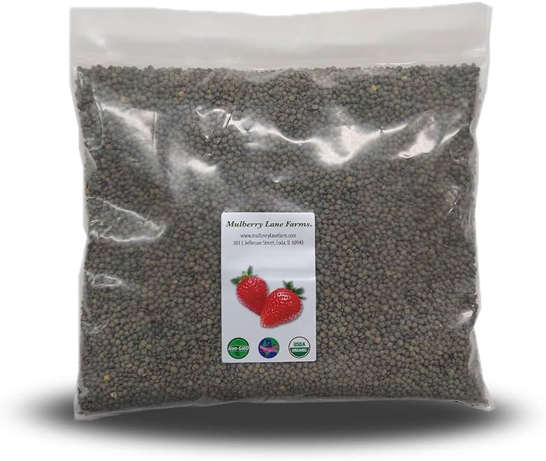 French Green Lentils 5 Pounds Petite, USDA Certified Organic, Non-GMO Bulk, Product of USA, Mulberry Lane Farms - Product Image
