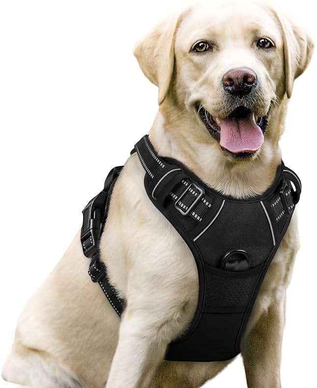 rabbitgoo Dog Harness No Pull with 2 Leash Clips, Adjustable Soft Padded, Reflective Oxford No Choke Pet Vest with Easy Control Handle for Large Dogs, Black, L - Image 1