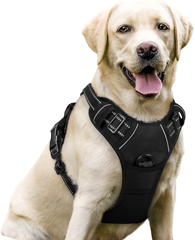 rabbitgoo Dog Harness No Pull with 2 Leash Clips, Adjustable Soft Padded, Reflective Oxford No Choke Pet Vest with Easy Control Handle for Large Dogs, Black, L - Product Image