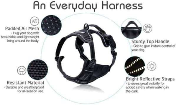 rabbitgoo Dog Harness No Pull with 2 Leash Clips, Adjustable Soft Padded, Reflective Oxford No Choke Pet Vest with Easy Control Handle for Large Dogs, Black, L - Image 10