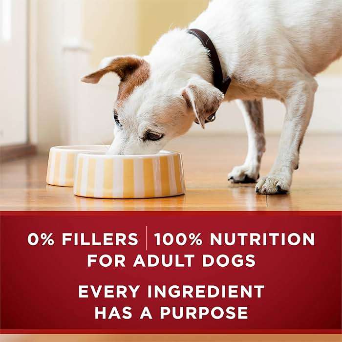 Purina ONE True Instinct Tender Cuts in Gravy with Real Turkey and Venison, and with Real Chicken and Duck High Protein Wet Dog Food Variety Pack - (Pack of 6) 13 Oz. Cans - Image 5