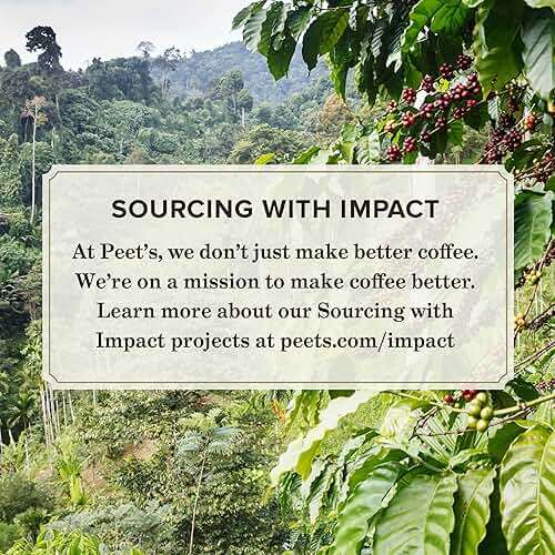 Peet's Coffee, Dark Roast Keurig K-Cup Pods, 100% Arabica Coffee - Major Dickason's Blend 75 Count (1 Box of 75 Pods) - Image 3