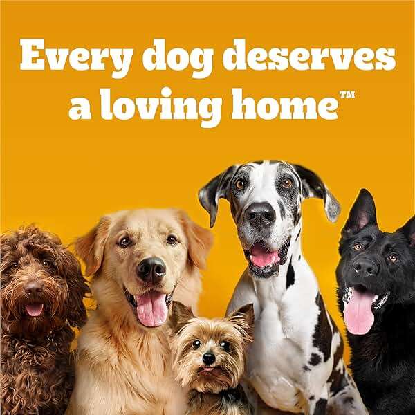 Pedigree Choice Cuts in Gravy Adult Soft Wet Dog Food 18-Count Variety Pack, 3.5 oz. Pouches - Image 12