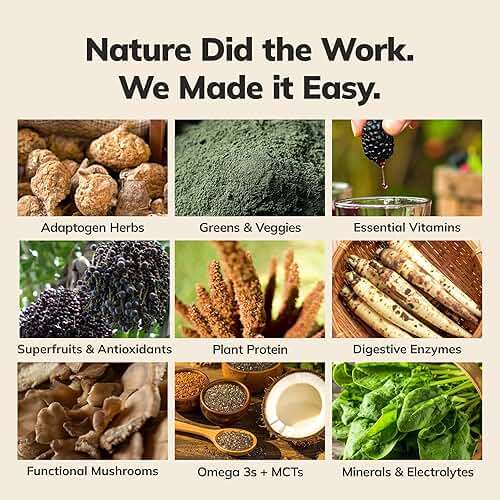 Ka’Chava Whole Body Meal Shake Chocolate 2 lb – Vegan Protein Powder with 85+ Superfoods & Greens – Plant-Based Meal Replacement with Probiotics & Digestive Enzymes – Gluten & Dairy Free (15 Servings) - Image 5