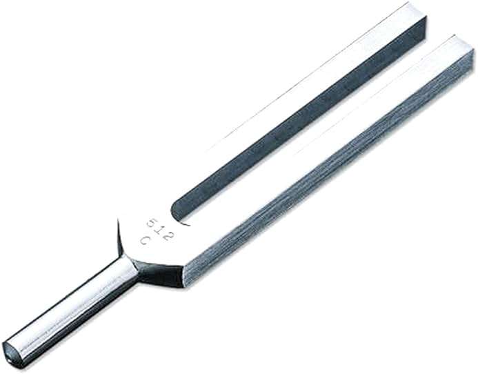 SURGICAL ONLINE Medical-Grade C512 Hz Tuning Fork - Fixed Weights, Non-Magnetic, Lightweight, Portable, Corrosion Resistant, Extra Long Handle - Image 1