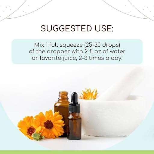 HerbEra Red Sage B120 Alcohol-Free Herbal Extract Tincture, Concentrated Liquid Drops Natural Red Sage (Salvia Miltiorrhiza) 4 fl oz - Image 3