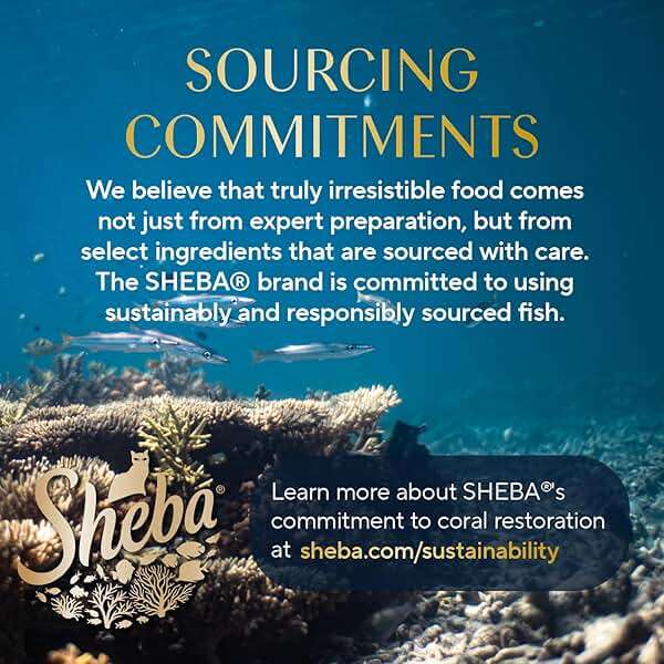 Sheba Perfect Portions Wet Cat Food Cuts in Gravy, Roasted Chicken Entree, with Sustainable Salmon, Tender Turkey Entree, 2.6 oz. Twin-Pack Trays (24 Count, 48 Servings) - Image 12