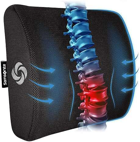 Samsonite Lumbar Support Pillow for Office Chair, Lower Back Support for Car, Back Pillow Desk Chair Cushion with Memory Foam, Improved Posture Backrest - Image 1