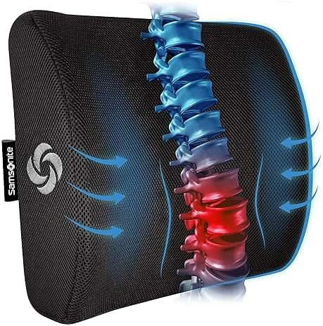Samsonite Lumbar Support Pillow for Office Chair, Lower Back Support for Car, Back Pillow Desk Chair Cushion with Memory Foam, Improved Posture Backrest - Product Image